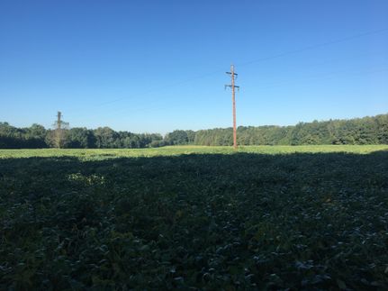 Land in Fayette County, Tennessee