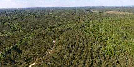 Recreational Property in Covington County, Alabama