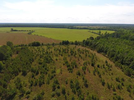 Land in Covington County, Alabama
