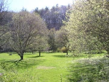 Waterfront Property in Rockbridge County, Virginia