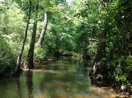 Farm and Ranch in Chilton County, Alabama