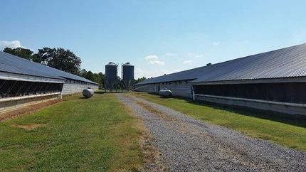 Commercial Property in Cullman County, Alabama