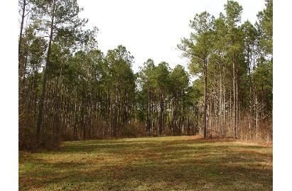 Farm and Ranch in Coosa County, Alabama