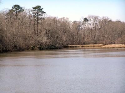 Commercial Property in Dallas County, Alabama