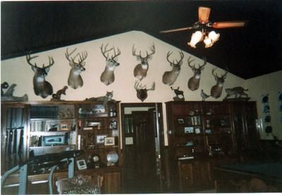 Farm and Ranch in Marengo County, Alabama
