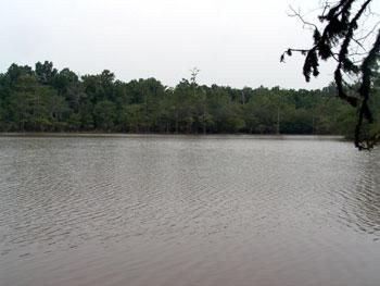 Recreational Property in Washington County, Alabama