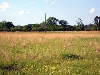 Farm and Ranch in Marengo County, Alabama