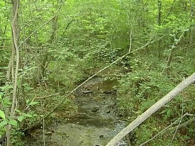 Farm and Ranch in Randolph County, Alabama