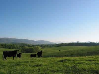 Farm and Ranch in Greenbrier County, West Virginia