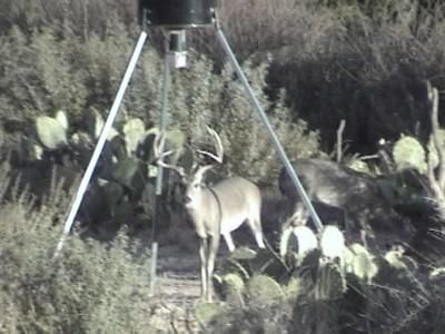 Land in Reagan County, Texas