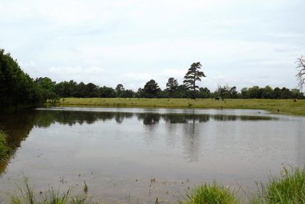 Undeveloped Land in Cherokee County, Oklahoma