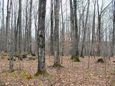 Land in Franklin County, Vermont