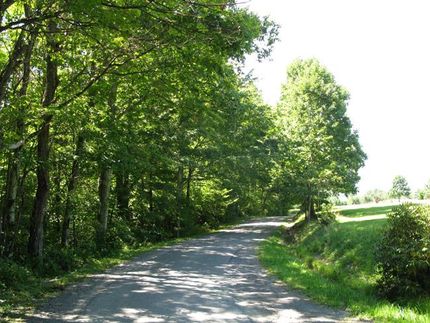 Farm and Ranch in Nicholas County, West Virginia
