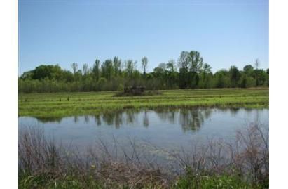 Commercial Property in Marshall County, Mississippi