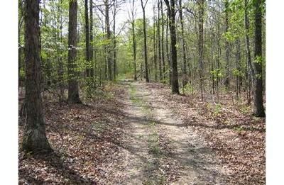 Land in Ripley County, Missouri