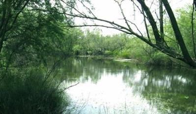 House in La Salle County, Texas
