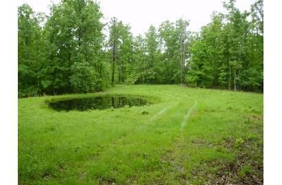 Farm and Ranch in Ripley County, Missouri