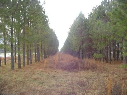 Land in Lee County, South Carolina