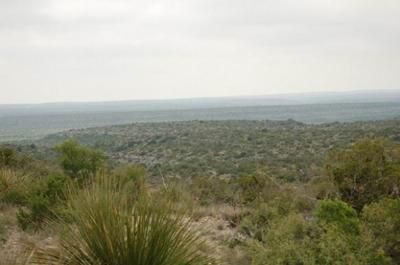 Farm and Ranch in Terrell County, Texas