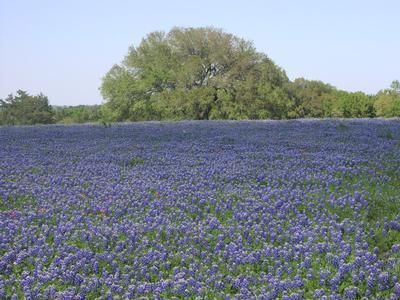House in Austin County, Texas