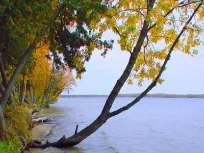 Farm and Ranch in Mackinac County, Michigan