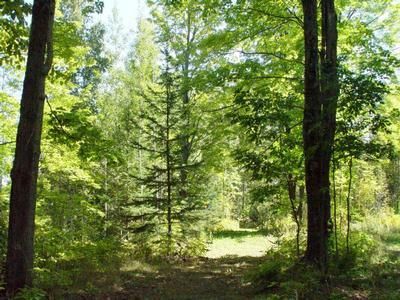 Riverfront Property in Presque Isle County, Michigan