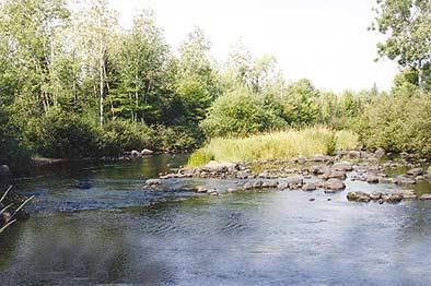 Riverfront Property in Presque Isle County, Michigan