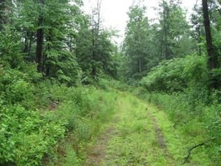 Land in Dauphin County, Pennsylvania