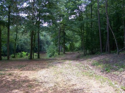 Riverfront Property in Randolph County, Alabama