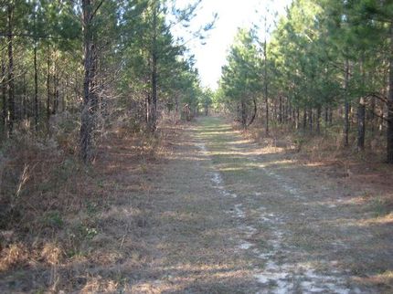 Land in Telfair County, Georgia