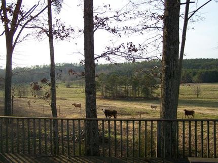 Farm and Ranch in Coosa County, Alabama