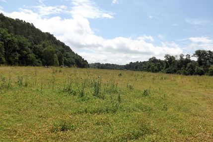Undeveloped Land in Cherokee County, Oklahoma