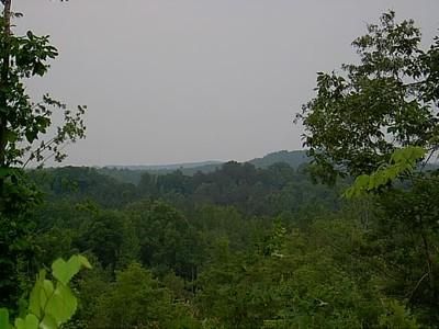 Farm and Ranch in Clay County, Alabama