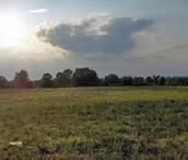 Farm and Ranch in Henry County, Kentucky