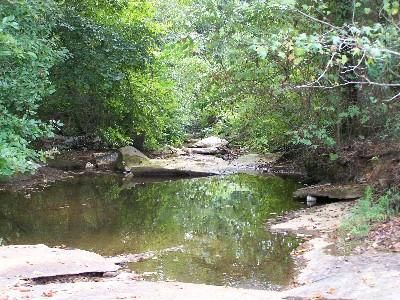 Farm and Ranch in Randolph County, Alabama