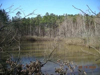 Farm and Ranch in Bradley County, Arkansas