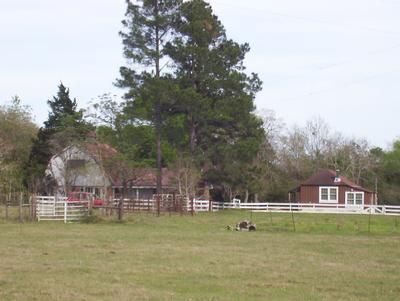 Recreational Property in Austin County, Texas