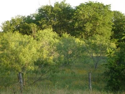 Land in Hill County, Texas