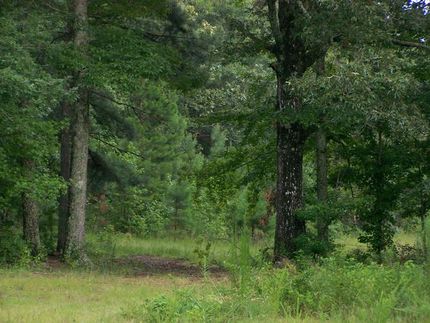 Recreational Property in Tallapoosa County, Alabama