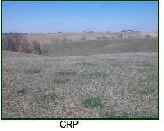 Farm and Ranch in Iowa County, Iowa