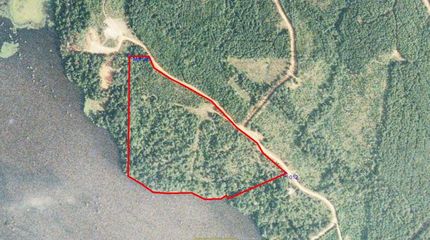 Waterfront Property in Union Parish, Louisiana