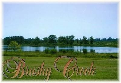 Farm and Ranch in Trinity County, Texas