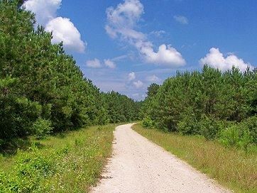 Farm and Ranch in Houston County, Texas