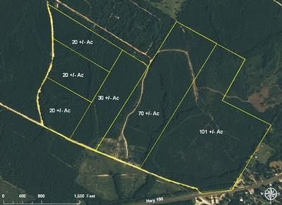 Farm and Ranch in San Jacinto County, Texas