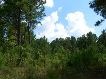 Land in Trinity County, Texas
