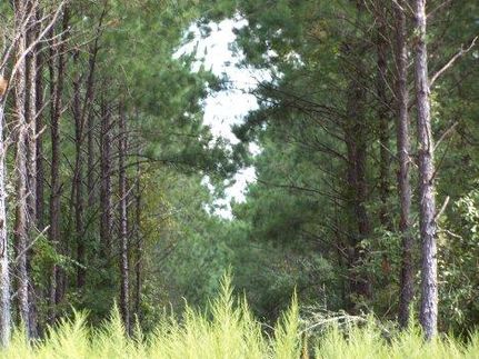 Farm and Ranch in Trinity County, Texas