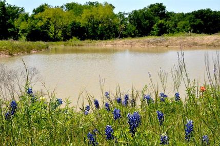 Farm and Ranch in McLennan County, Texas
