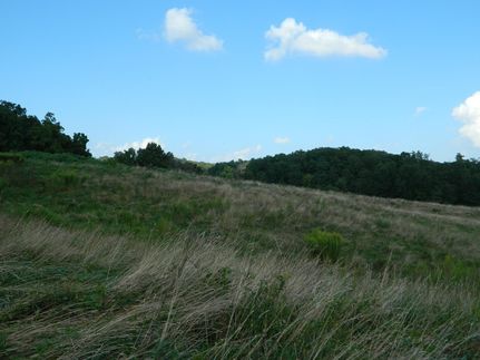 Farm and Ranch in Greene County, Indiana