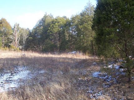 Farm and Ranch in Metcalfe County, Kentucky