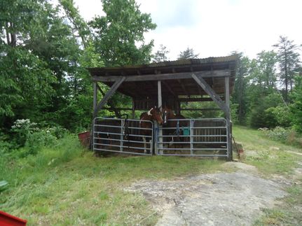 Land in Hart County, Kentucky